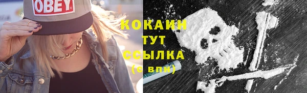 прущая мука Кодинск