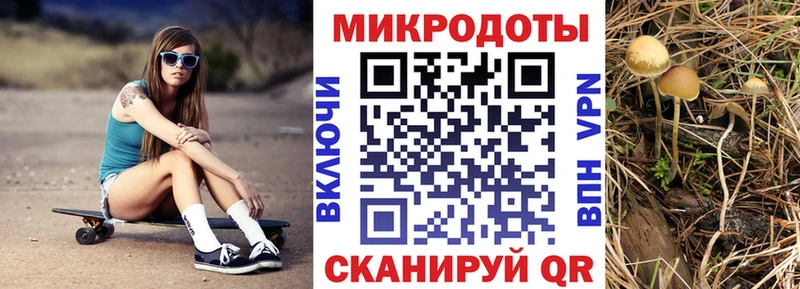 Псилоцибиновые грибы мухоморы  Купить где  Дорогобуж 